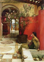 Oleandr, 1882